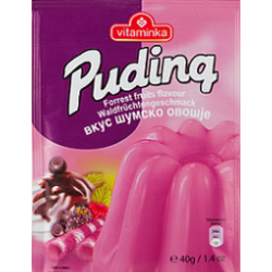 Pudding Waldfrüchte 40g
